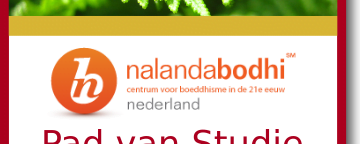 Pad van Studie 2018-20 module 3