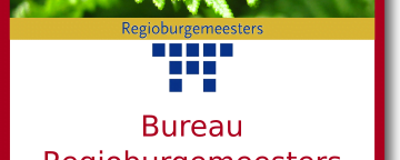 Strategie traject Bureau Regio burgemeesters