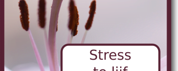 Stress te lijf