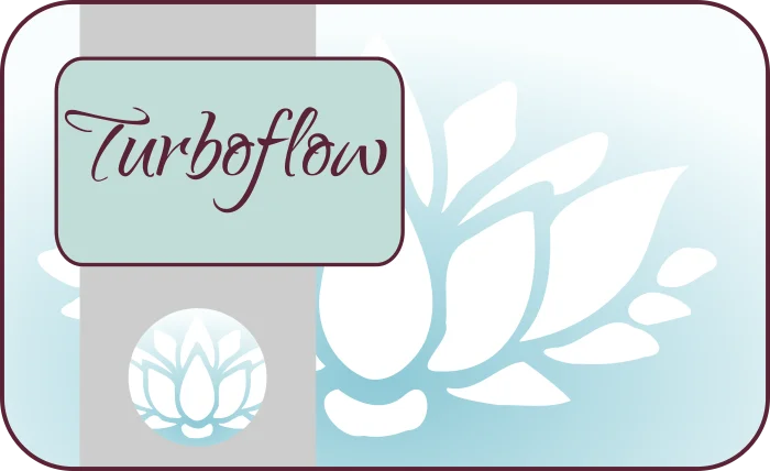 Stroomschema Turboflow Started