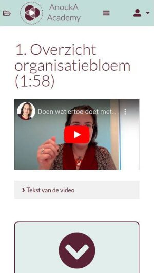 organisatiebloei2