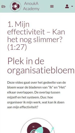 organisatiebloei4